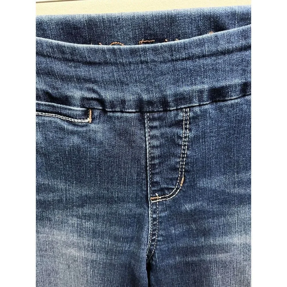 JAG Jeans Womens Size 4 Petite Dark Wash Blue Mid Rise Straight Leg Denim